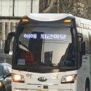 고양이집 | 고양이 키우는 집 청소하기(청소 비용 후기)