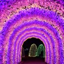 휴아일랜드 이미지