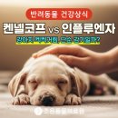 조은켄넬 이미지