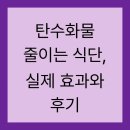양고기연구소 | 탄수화물 줄이는 식단, 실제 효과와 후기