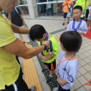 경희대 대영 태권도장 이미지