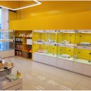 플랜멍 강아지분양 포항점 이미지