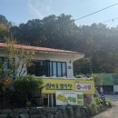 산마을다람쥐 | 서울 근교 캠핑 '안양산마을캠핑장' 다람쥐 사이트 다녀온 솔직 후기(+주의 사항)