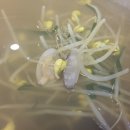 봉곡동305 이미지