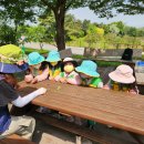 초록샘어린이집 이미지