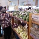 하이웨이네트 이미지