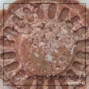 마마노코코로 이미지