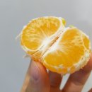 대진농장 이미지