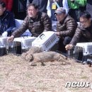 서울시 야생동물 구조관리센터 이미지