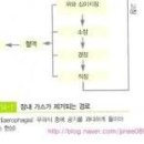 방귀가 계속 나와요 방귀가 나오는 이유 방귀 줄이는 방법 지독한 방귀냄새 원인 이미지