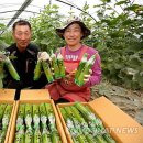 김병관농장 이미지