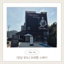 [전남 완도] 완도 숙소 추천! 모래뜰스테이에서 가족과 편안하게 머문 완도 숙박 후기 (완도 호텔 추천)