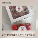 충주어린이집 | 충주 딸기 체험 가능한 아이랑 가볼만한 곳 아론딸기