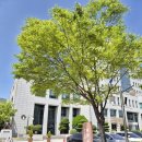 스마트폰 기초 및 활용 (초급) 이미지