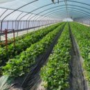 (주) 더드림유통 이미지