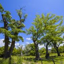 유당공원 이미지
