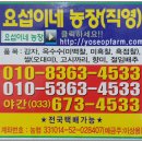 요섭농장 이미지