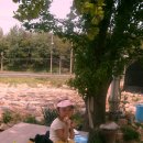 월평농장 이미지