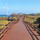 제주 올레길 14-1코스 | 제주올레길 14코스