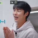 식송