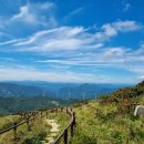 만항등산로입구 이미지