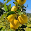 정송농장 이미지