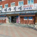 제주복어 이미지