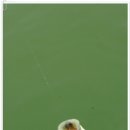 방산낚시터 이미지