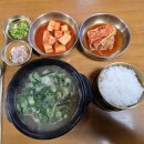 해님농장 | 충남 예산시장 먹거리 맛집 선봉국수 낙원약과 예산샌드 해님빈대떡 소개/주차/식당추천