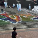 4살 아들과 서울 상암월드컵경기장 FC서울 vs 제주 직관후기