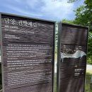 담양대나무축제 다녀옴 (그냥 투어 후기)