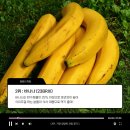 브릭스(Brix) 이미지