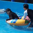 위양지 관광농원 이미지