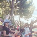 (주)영덕 이미지