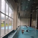 더벤티여수국동항점 | 여수 1박2일 아이랑 여행코스:짧아서 아쉽지만 알차게 2탄 : 깔라까타알아보기 저녁식사만족후기