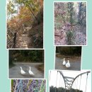 말무리농장 이미지