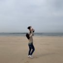 대천해수욕장 오렌지 카페 이미지