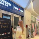 엘시티여행사 - 해운대구 해운대해변로298번길 24 | 엘시티여행사