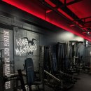 머슬피플 이미지