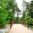 동화택시 이미지