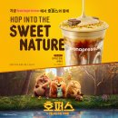 토피넛