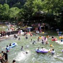 남천1리 솔밭공원 이미지