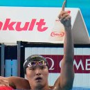 세계선수권대회 수영 김우민, 자유형 400m 금메달 이미지
