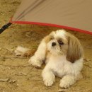 씨알농장 이미지