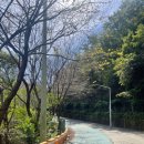 월영동134 | [창원 덕동동] 청량산 등산