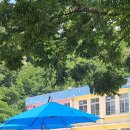 미당초등학교 이미지