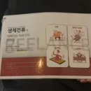 둔포도서관 | 아산 둔포 바디관리 베러뷰티 본점 레아쥬 등 관리 후기