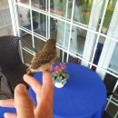 아기새어린이집 이미지