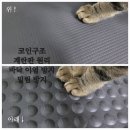 이디티씨(EDTC) | 층간소음 걱정 없는 캣휠 매트 바닥프로젝트 노이즈패드