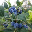 순익농장 이미지